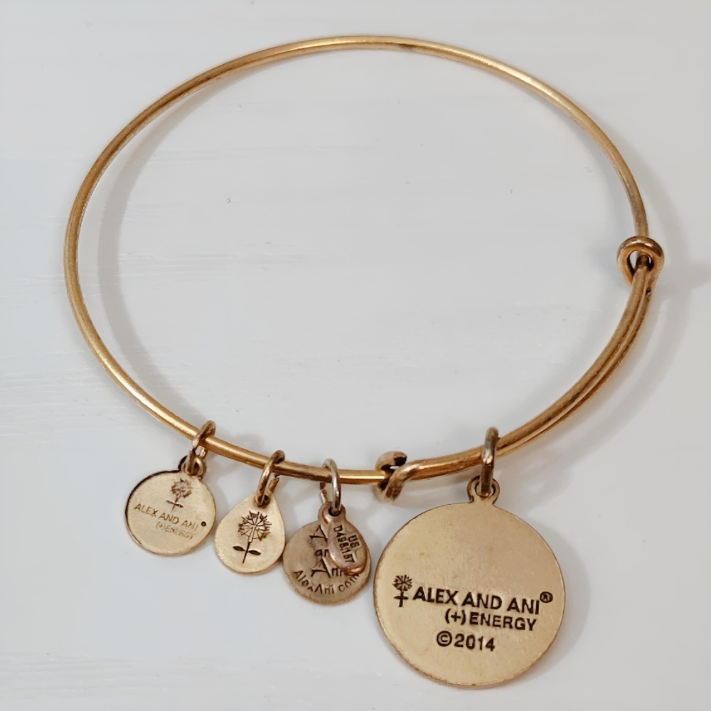 💎 2/$15 Alex and Ani 2014 Gold tone SISTER bracelet - Picture 3 of 6